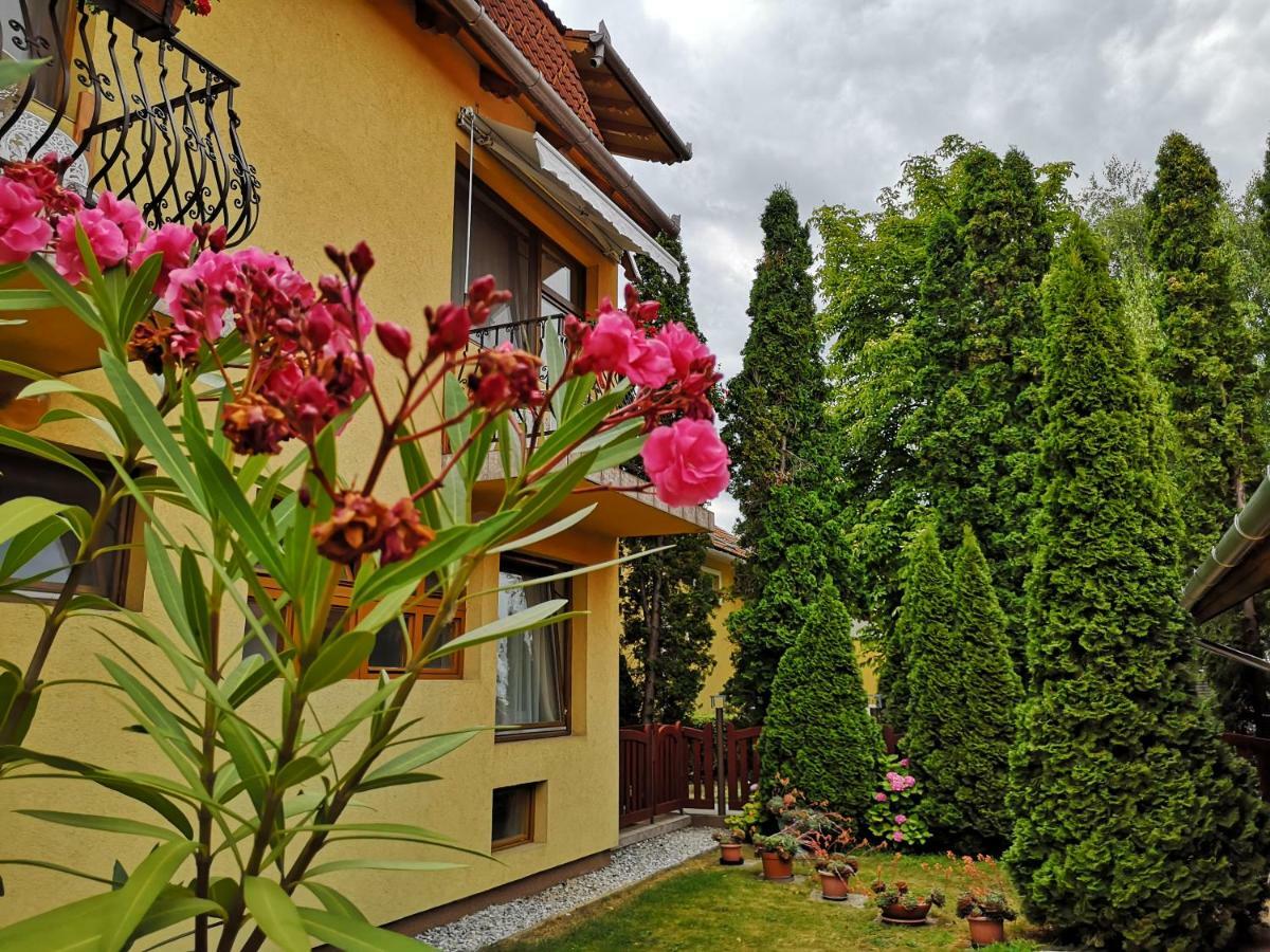 Julia Panzio Bed & Breakfast Hajduszoboszlo Exterior photo